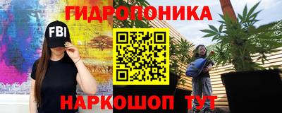 a pvp Краснознаменск