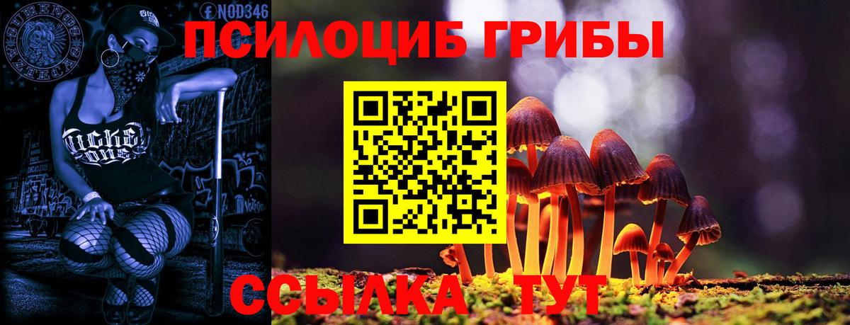 Галлюциногенные грибы мицелий Качканар